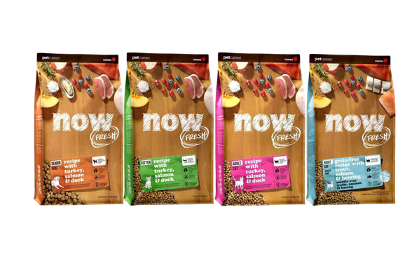 שקי מזון Now Fresh לכלבים ולחתולים